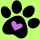 Dog Licenses